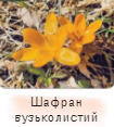 0300jpgb-d3a3-141x157.png