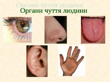 http://dok.znaimo.com.ua/pars_docs/refs/20/19268/img8.jpg
