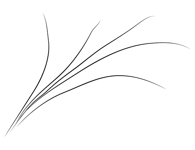 0300jxxy-bb50-650x500.png