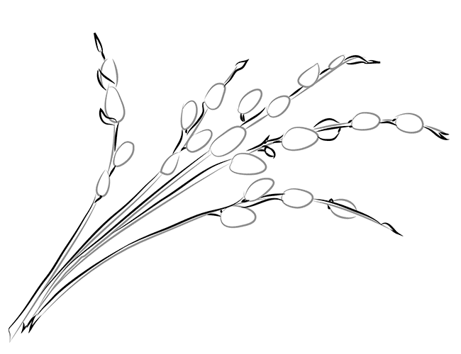 0300jxxz-1e11-650x500.png