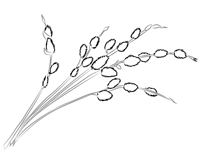 0300jxy0-bf60-650x500.png