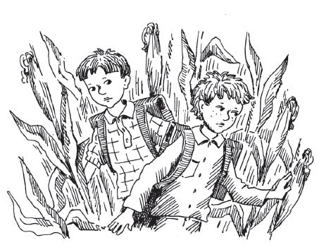 0300k18z-bc15-470x357.png