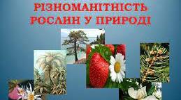 (Копія) (Копія) КР Різноманітність рослин достатній рівень Варіант 2 