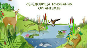 Різноманітність середовищ життя організмів