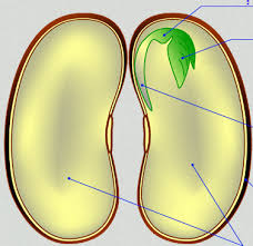 0300kd0h-52a9-228x221.png