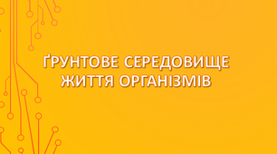 Ґрунтове середовище життя