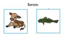 0300kffu-55a6-215x121.jpg
