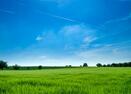 Home | European Land Conservation Network