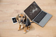 4,593 Destroy Computer Stock Photos, Pictures & Royalty-Free Images - iStock