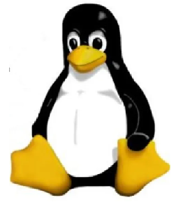0300kkh0-166f-262x290.png