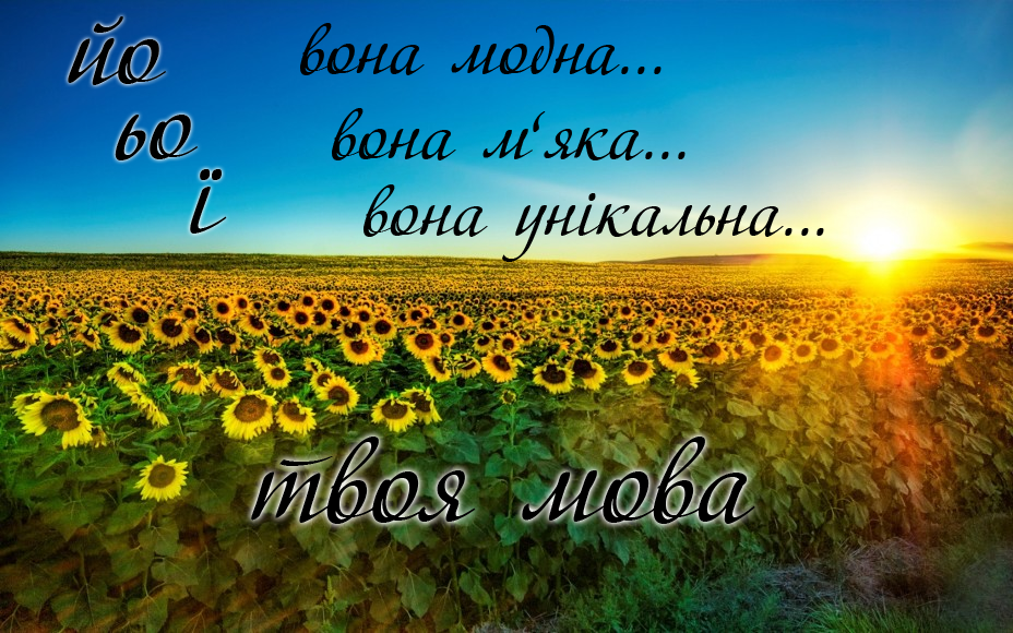 0300kp5x-2643-928x580.png