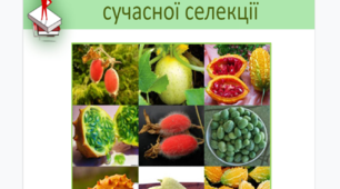 Презентація уроку "Завдання та досягнення сучасної селекції"
