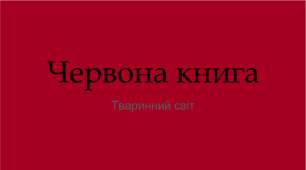 Презентація "Чому тваринам загрожує небезпека"