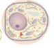 0300kto5-bd74-108x97.png