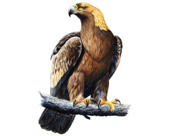 0300ku2a-2f6f-353x280.png