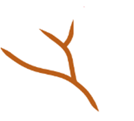 0300kuv0-b815-196x177.png