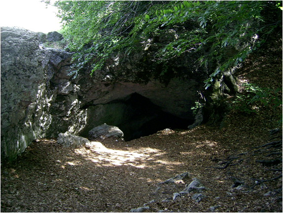 0300kwc8-c14c-574x431.png