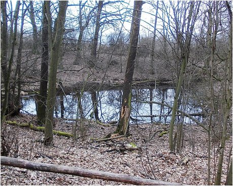 0300kwx7-4c07-459x367.png