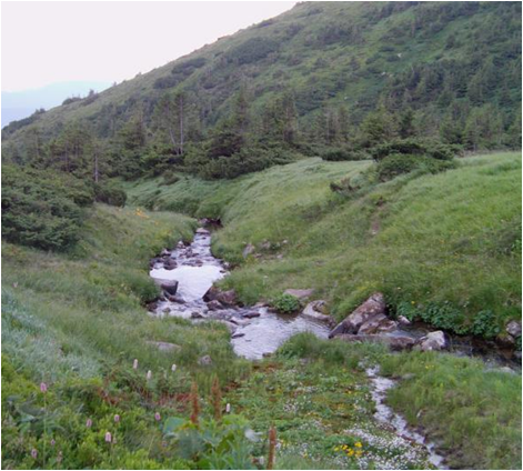 0300kwyk-7d84-471x424.png