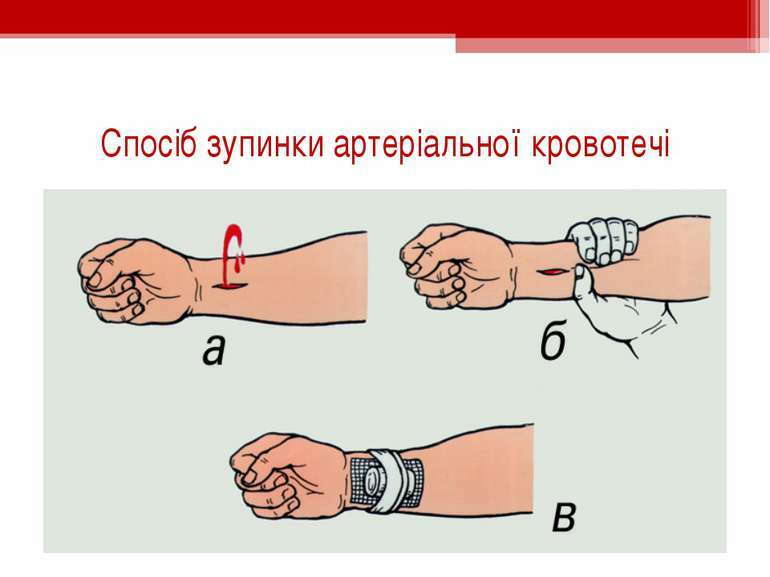 0300kymp-c9f0-770x577.jpg