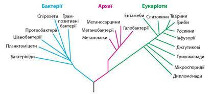 0300kzi4-2d92-532x236.jpg