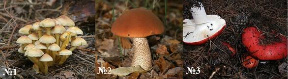0300l0lz-42e2-541x149.jpg