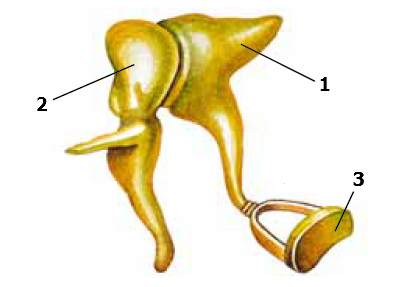 0300l5fz-691c-404x287.png