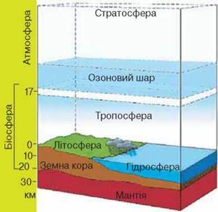 0300l7b6-dc9a-311x302.jpg