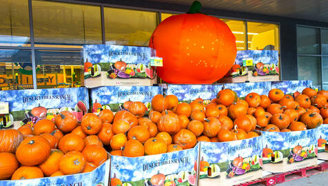 Supermarkets continuing to really overdo it with the whole pumpkin thing | NewsThump