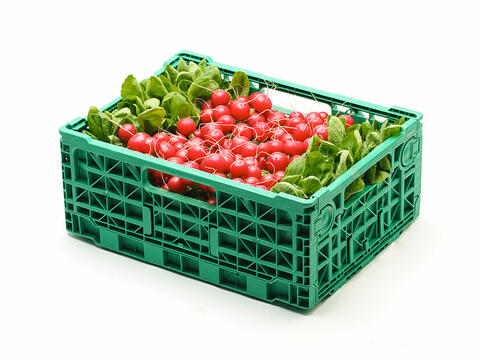 Products - Ortolanda
