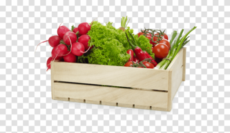 Radish, Plant, Vegetable, Food, Box Transparent Png – Pngset.com