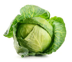 Cabbage – Food for all