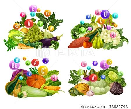 Farm vegetables, vitamins and minerals - Stock Illustration [58883748] - PIXTA