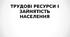 Системне розселення.Трудові ресурси і зайнятість населення.