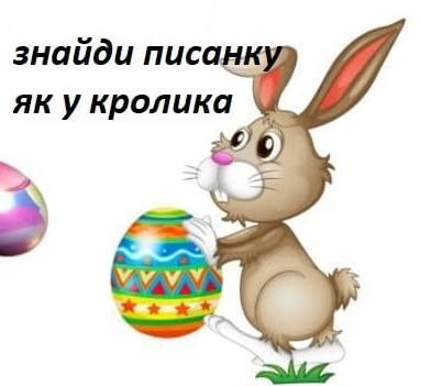 0300ley9-0fd3-383x351.jpg
