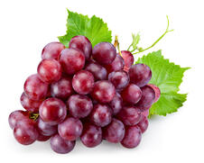 Grape definition and meaning | Collins English Dictionary