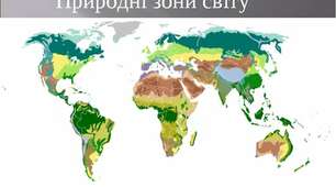 Зональні екосистеми(природні зони) 