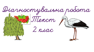 Діагностувальна робота. Текст 2 клас