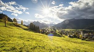 Natur und Umwelt 