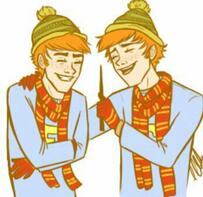 💥Weasley twins💥 | Harry Potter Rus Amino Amino