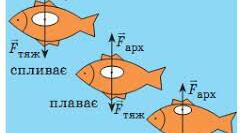 Залік “Тиск. Закон Архімеда. Плавання тіл”