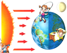 0300lp1r-95a6-236x187.png