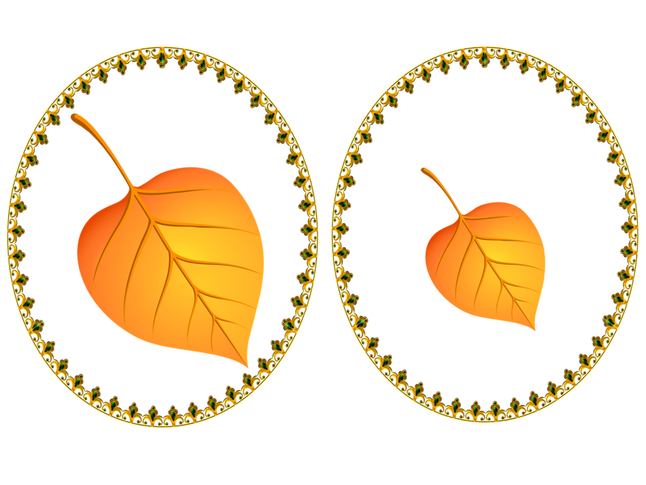 0300lpbv-e883-940x705.png