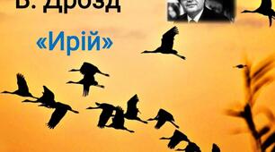 ПЧ 4.В.Дрозд "Ирій". Химерна повість про неповторний світ юності