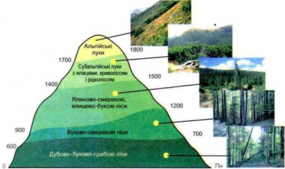 0300lprz-7b83-416x247.png
