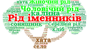 Рід, число іменників
