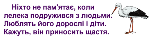 0300lsj7-5562-520x138.png