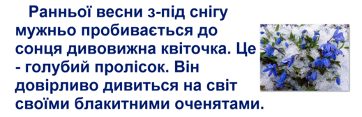 0300lsnd-5859-519x168.png