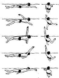 0300lvnu-4463-195x258.png