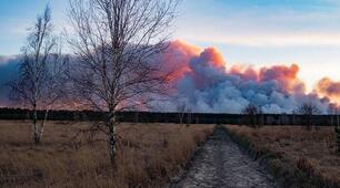 Загальні ознаки НС. Рівні НС